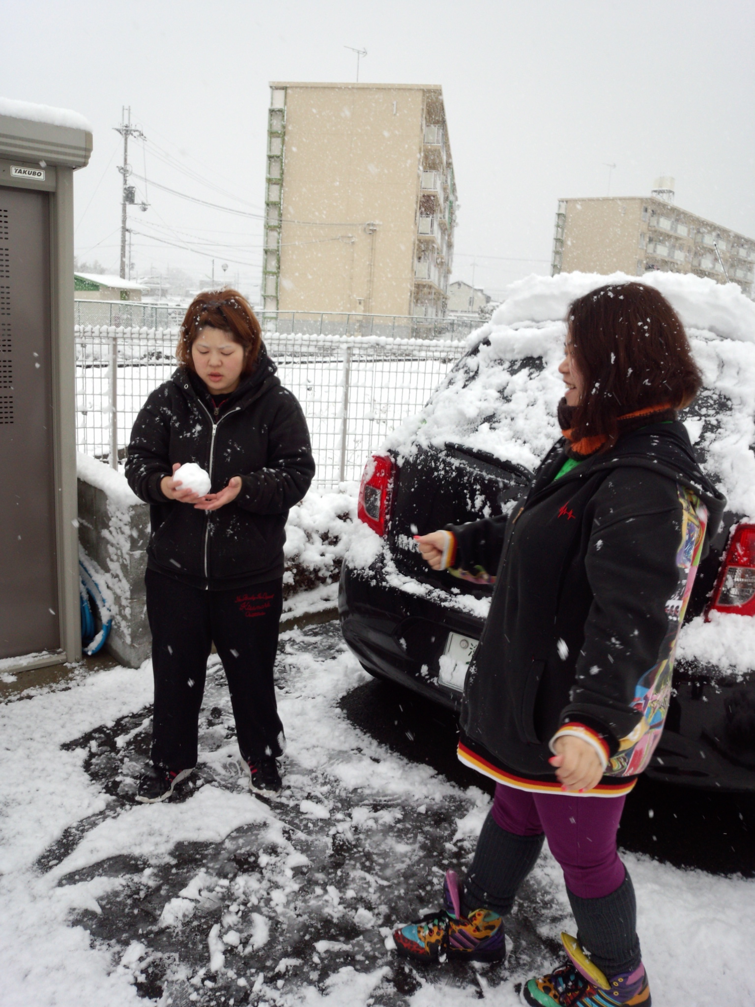 雪でも。 雪でも。