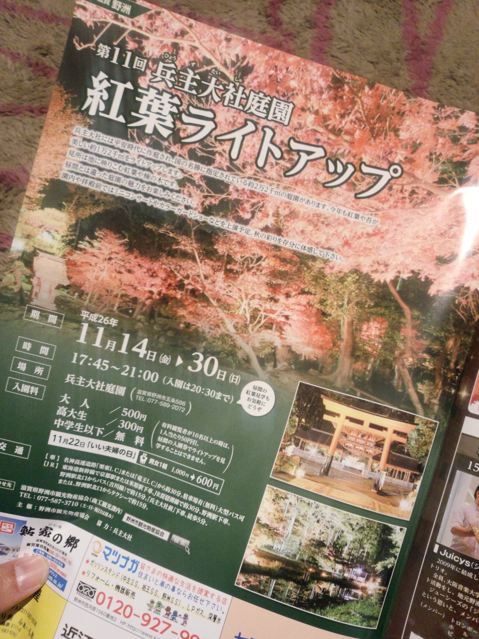 ライトアップ☆ ライトアップ☆