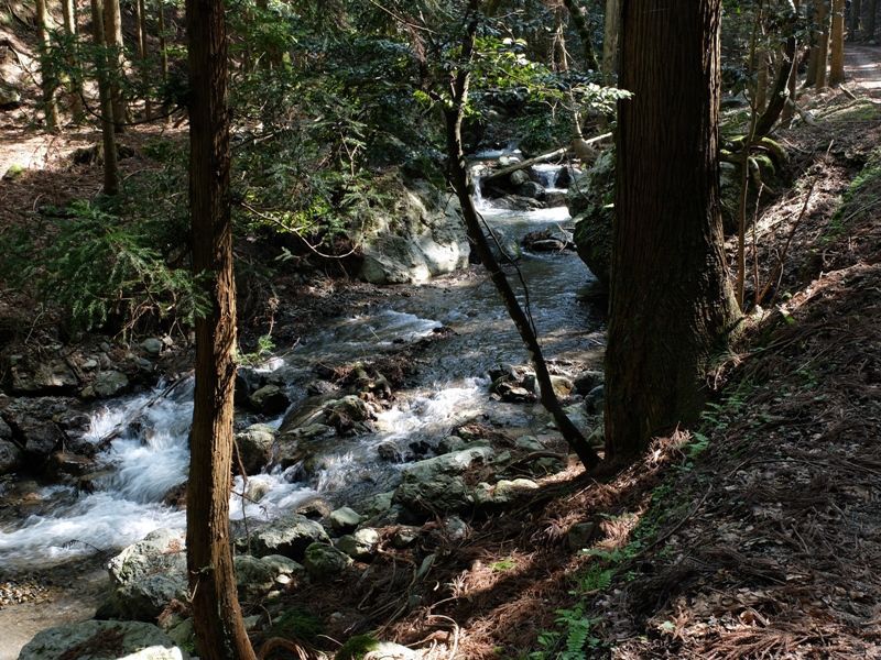 0428三十三間山2 0428三十三間山2