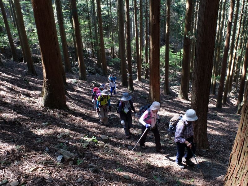 0428三十三間山4 0428三十三間山4