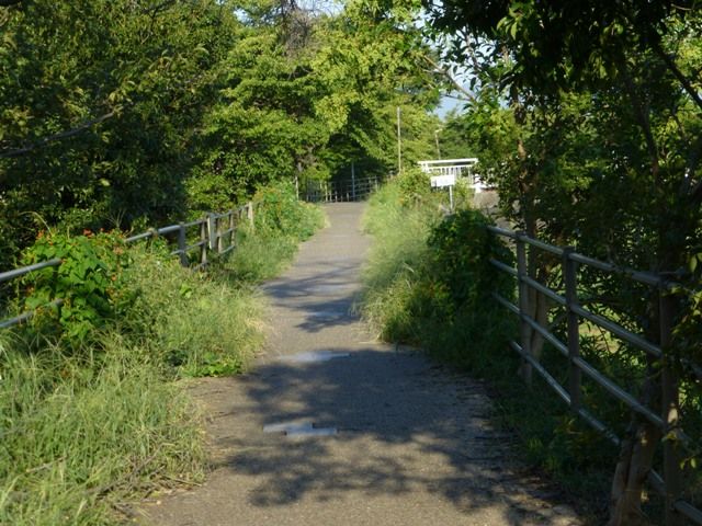 遊歩道1