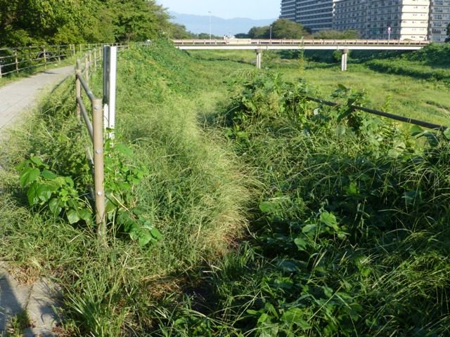 遊歩道2