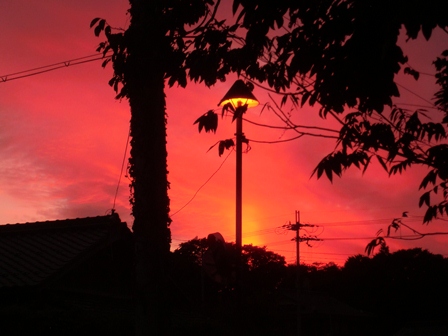 夕焼け・・・栗
