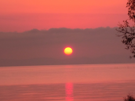 琵琶湖から日の出・・・朝靄
