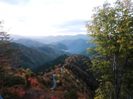 高島市朽木・・グルリと一周