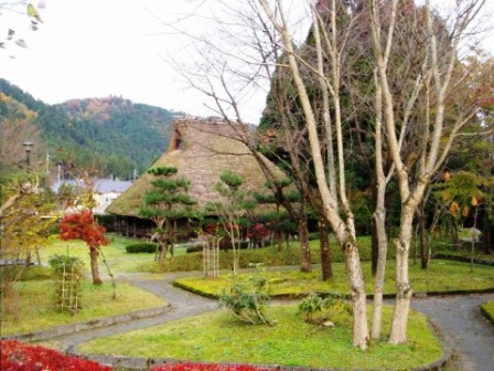 さざんか??・・花名音痴で。