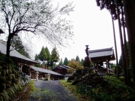 さざんか??・・花名音痴で。