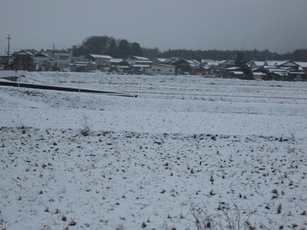 灰色で雪模様・・酒蔵