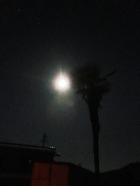月夜に青空で・・