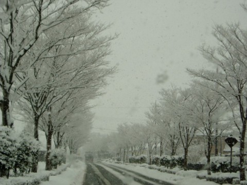 雪の午前中・・新旭、高島、安曇川ぐるーーっと