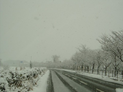 雪の午前中・・新旭、高島、安曇川ぐるーーっと