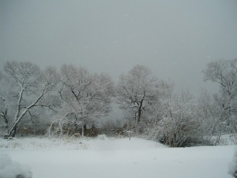 雪の午前中・・新旭、高島、安曇川ぐるーーっと