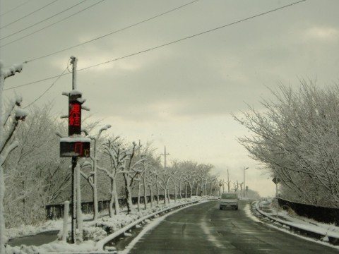 雪の午前中・・新旭、高島、安曇川ぐるーーっと