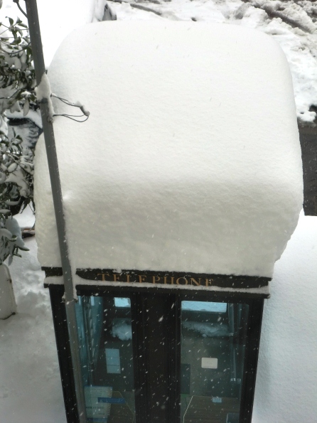 ようけ積もりました・・60センチ積雪
