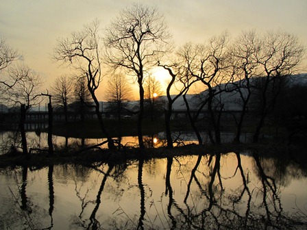 朝の琵琶湖・・夕景の沼で。