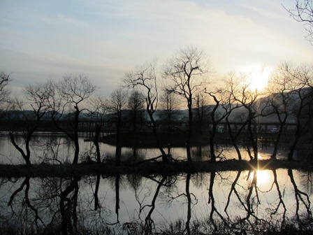 春陽気・・・朝と昼と夕も風景