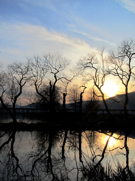 春陽気・・・朝と昼と夕も風景