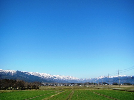 春陽気・・・朝と昼と夕も風景
