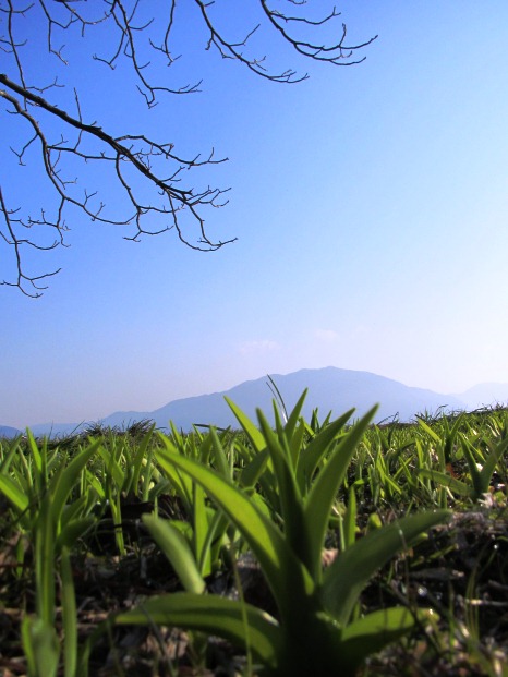 春陽気・・・朝と昼と夕も風景