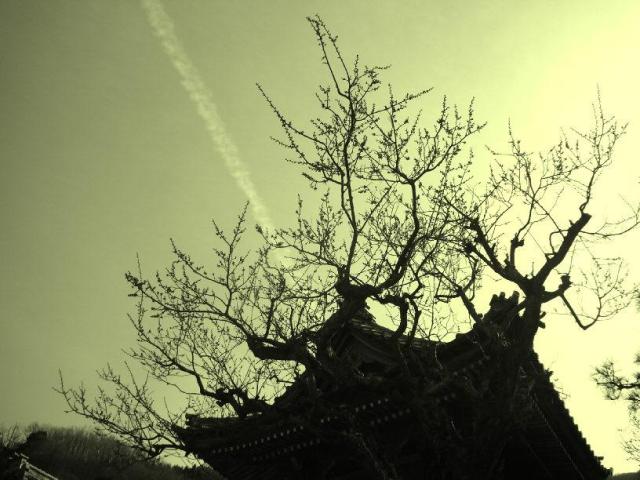 気疲れ・・