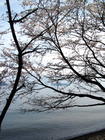 琵琶湖風景・・一日