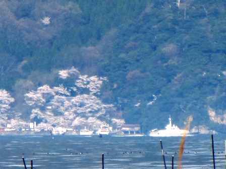 琵琶湖風景・・一日
