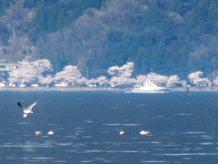 琵琶湖風景・・一日