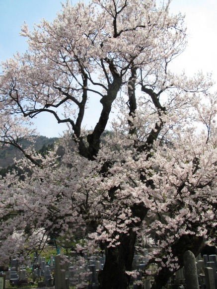 琵琶湖風景・・一日