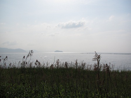 帰り道・・・田んぼ
