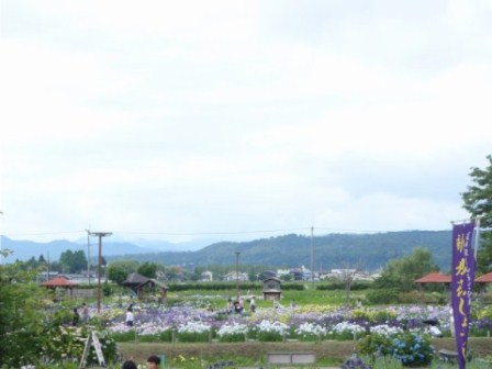 梅雨空に緑・・そして高島市内