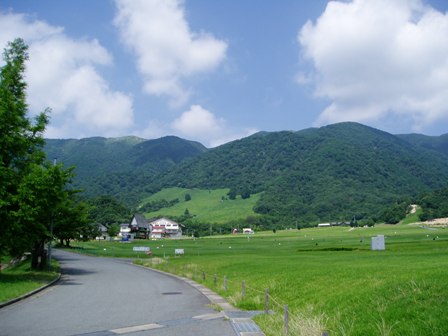 真夏の暑さは高島市内を濃緑にしてしまう
