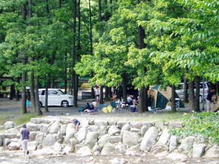 真夏の暑さは高島市内を濃緑にしてしまう