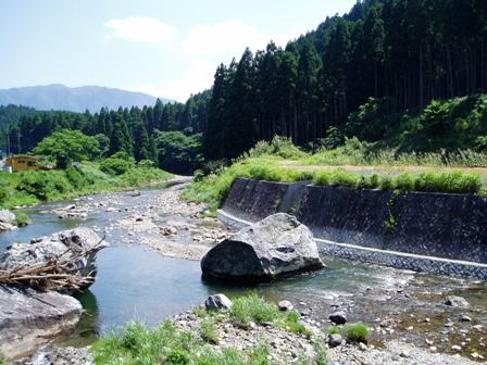 真夏の暑さは高島市内を濃緑にしてしまう