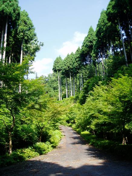 高島市・・元気!!
