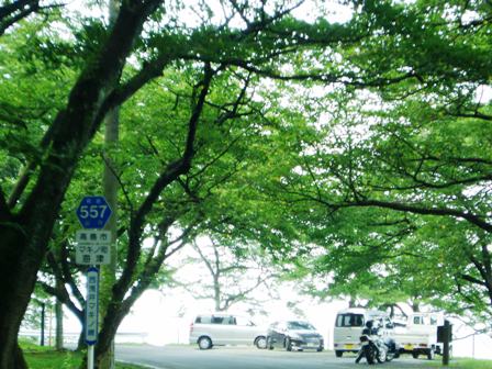 海津大崎から、鉄塔ネコ、トワイライト、朽木安曇川河川まで