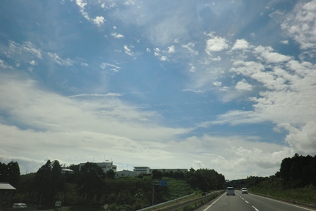 草刈り・・天使の声に誘われて。