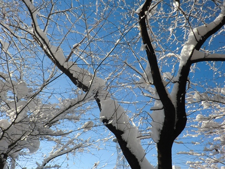 鬼は外、雪も外・・在原集落他