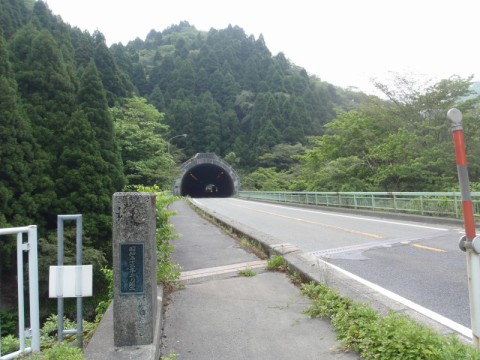 桐の花の隣にトトロ・・土曜日の高島市内。