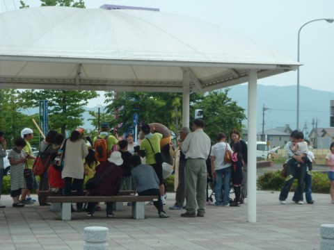 桐の花の隣にトトロ・・土曜日の高島市内。