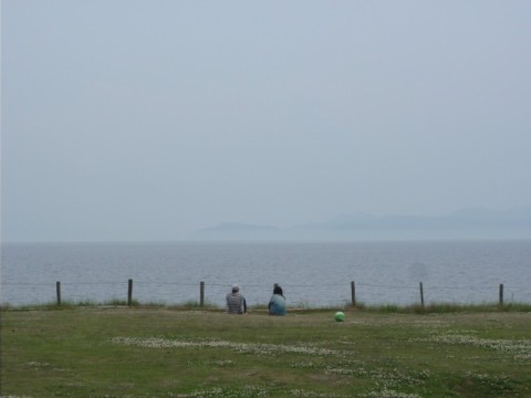 桐の花の隣にトトロ・・土曜日の高島市内。