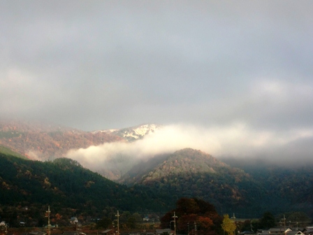 雨の朝から・・・