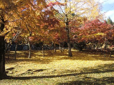 紅葉狩り