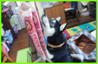 連休が終わりました・・ 連休が終わりました・・