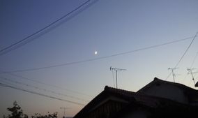 新作 窓シリーズの始まり