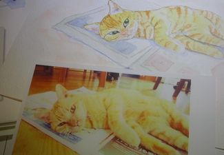 イラスト製作中です!!!