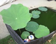 ゴールドの縁取りも作ります~