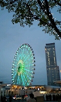ちょっと白浜まで・・・