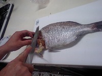 いらっしゃい♪その後。
