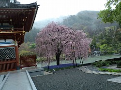 西国三十三箇所参り