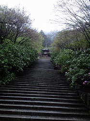 西国三十三箇所参り